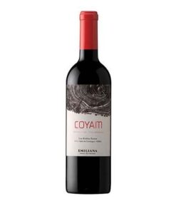 Vang Chile Coyam Ensamblaje Blend