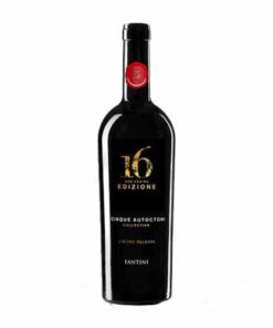 Vang đỏ 16 Edizione Limited Release 14%