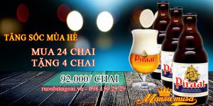 Bia Piraat bỉ 10,5% - 330ml