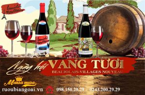 Lễ Hội Vang Tươi Beaujolais Nouveau 2019