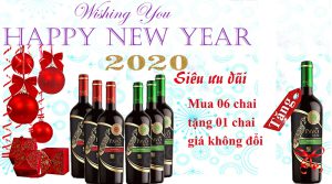 Hộp Qùa Tết 2020 Mua 6 Chai Vang Tặng 1 Chai Vang Cùng Loại