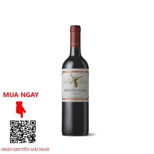 Vang Chile Montes Alpha Cabernet Sauvignon 2018