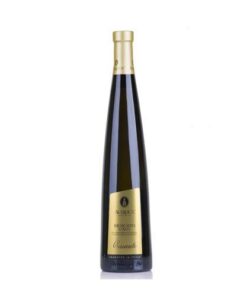 Rượu vang ngọt Acquesi moscato d’asti