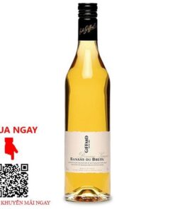 Rượu mùi Giffard Banane du Bresil
