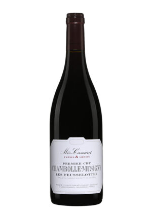 Rượu Vang Pháp Méo-Camuzet Chambolle-Musigny Premier Cru Les Feusselottes