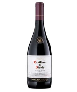 Rượu vang Chi Lê Concha Y Toro Casillero Del Diablo Reserva Syrah