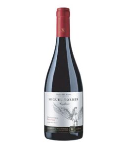 Rượu vang Chi Lê Miguel Torres, Andica Gran Reserva, Pinot Noir, Maule Coastal