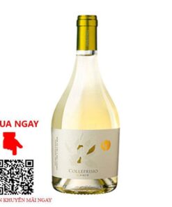 Rượu vang trắng Collefrisio Bianco