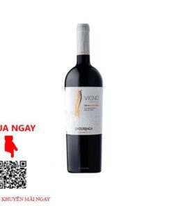 Rượu Vang Chile Vigno Red Wine