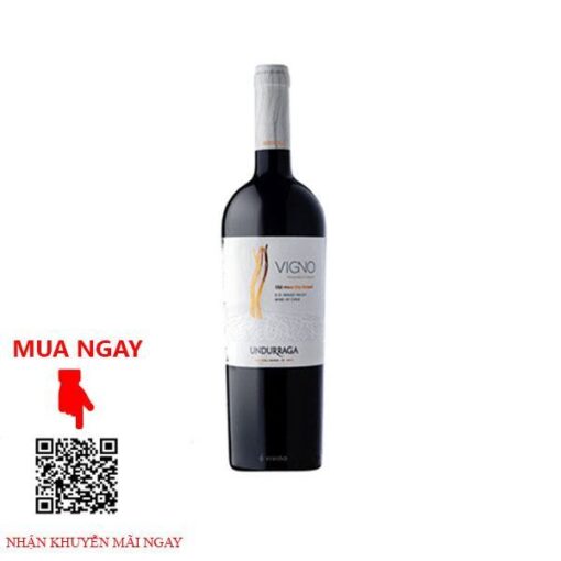 Rượu Vang Chile Vigno Red Wine