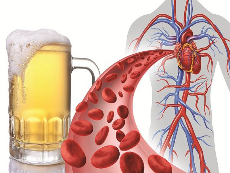 Uống bia tót cho tim mạch