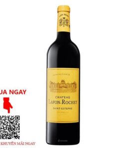 Rượu Vang Pháp Chateau Lafon Rochet 2013