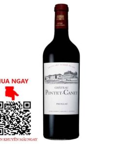 vang pháp chateau pontet canet 2013