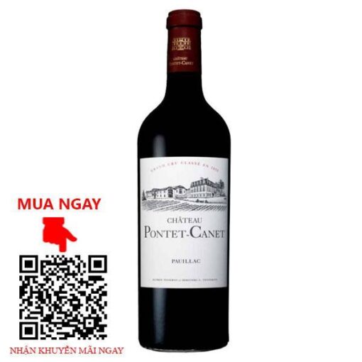 vang pháp chateau pontet canet 2013