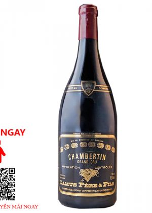 Rượu Vang Pháp Chambertin Grand Cru 2017
