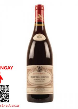 Rượu Vang Pháp Pinot Noir Bourgogne Domaine Seguin-Manuel