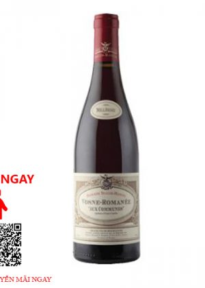 Rượu Vang Pháp Vosne-Romanee Aux Communes Domaine Seguin-Manuel