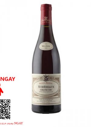Rượu Vang Pháp Echezeaux Grand Cru Domaine Seguin-Manuel