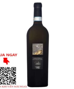 calèa colle moro