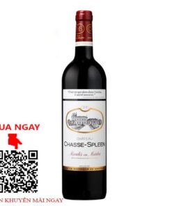 chateau chasse spleen
