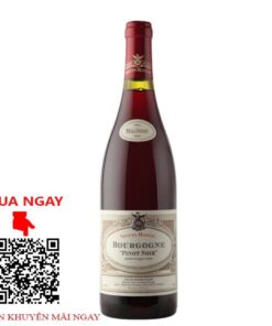 pinot noir bourgogne domaine seguin manuel