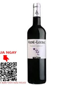 vigne lourac cabernet sauvignon domaine gayrel