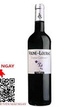 vigne lourac cabernet sauvignon domaine gayrel