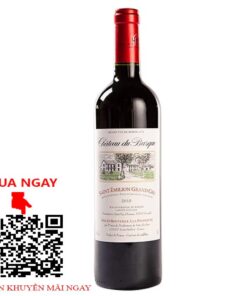 chateau du basque saint