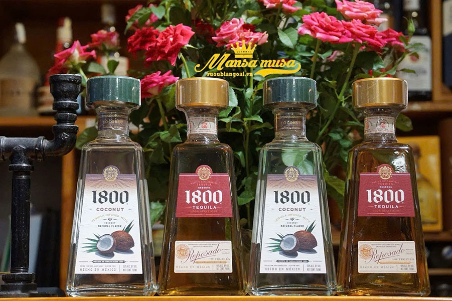 top 5 công thức pha chế cocktail ngon, dễ làm tại nhà 2025