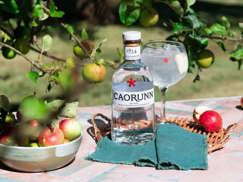 caorunn small batch scottish gin
