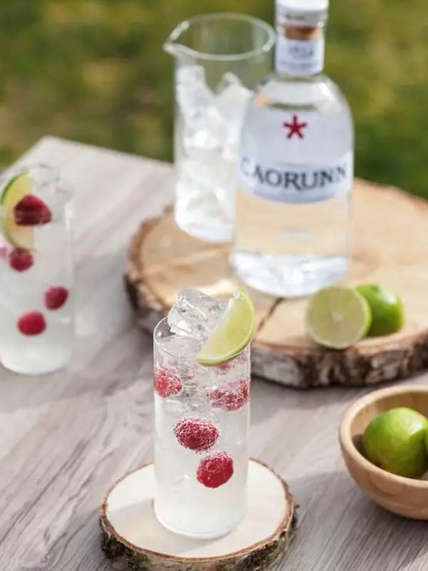 caorunn small batch scottish gin