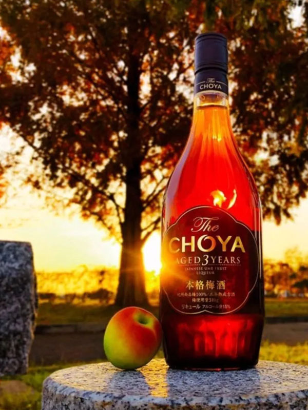 choya 3 năm