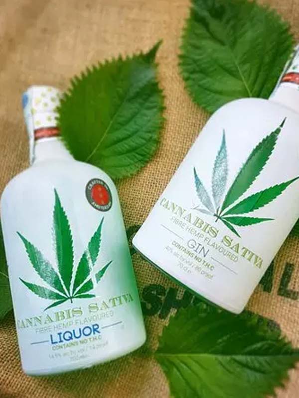 gin cannabis sativa