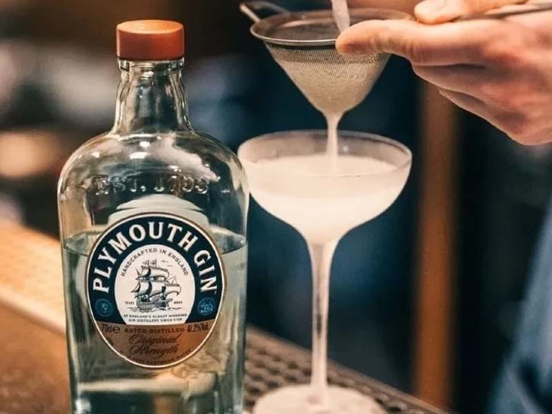 gin plymouth
