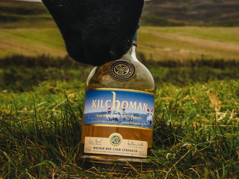 kilchoman machir bay cask strength