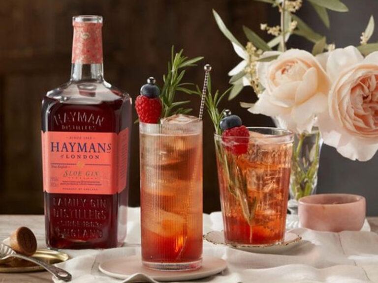 gin london hayman’s sloe