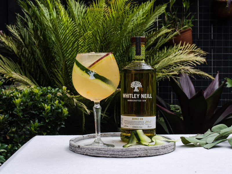 rượu whitley neill quince gin