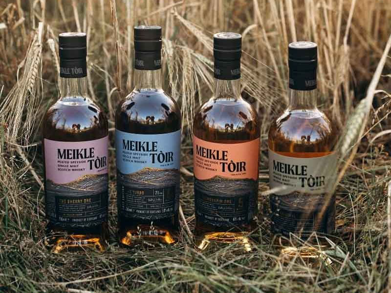 meikle toir 5 năm - the originalmeikle toir 5 năm - the original