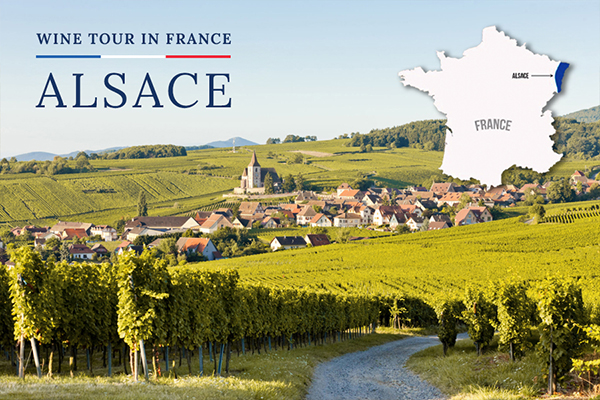 lịch sử rượu vang alsace và giống riesling